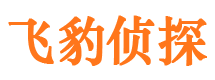 双台子市婚外情调查